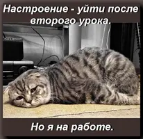 2759322648.webp