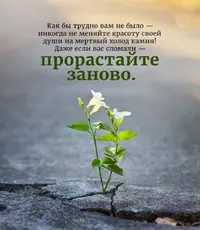 B4FEE6BE-2972-4345-B4ED-17283AAB6C23.webp