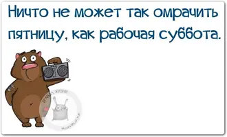2597337401.webp