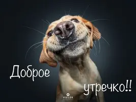 d1bb242e5a0c96cee4e967d48f0ae21a.webp