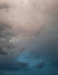 54231_Gallery.webp