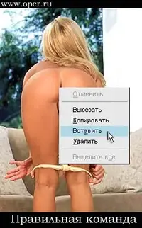 034.webp 034.webp
