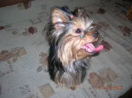 DSCN2828.webp