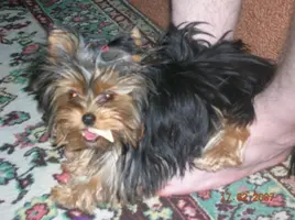 DSCN2823.webp