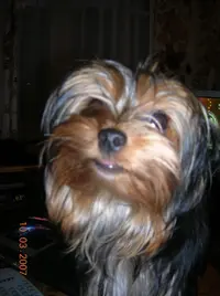 DSCN2842.webp