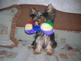 DSCN2802.webp
