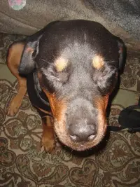 Resize of DSC01872.webp