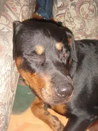 Resize of DSC01874.webp