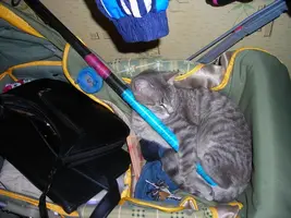 DSCN0591.webp