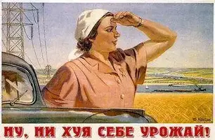 a2acacc78134.webp