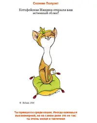 Кошка.webp