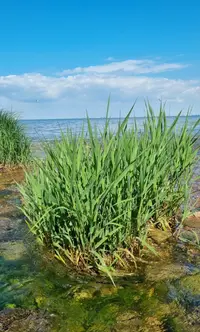 Screenshot_20220611-164030_Gallery.webp