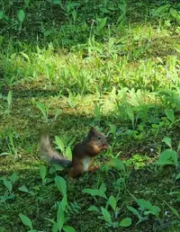 Screenshot_20220611-230020_Gallery.webp