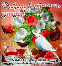 AA73920B-B352-4539-9AF7-E19EAB1D8F13.webp