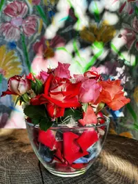 085210_Gallery.webp