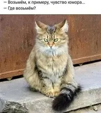 i.webp
