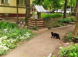 IMG_20220613_1206000.webp