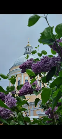 Screenshot_20220613-154523_Gallery.webp
