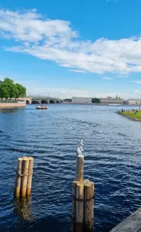 Screenshot_20220613-211801_Gallery.webp