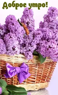 FB7A3F3A-9F68-419F-A3AF-E6A631448C66.webp