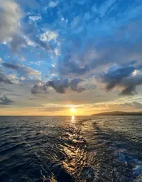 212647_Gallery.webp