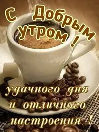 c6d495735c10cae3f8369c534562d3e9.webp