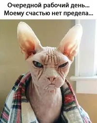 1584d852344525a8adc87e41a2e08a90.webp