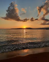 01101_Gallery.webp