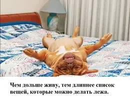 16870953.webp