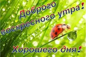 IMG-20220619-WA0004.webp