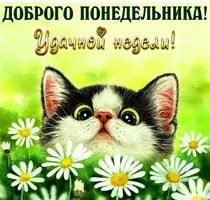 03F620F6-ED81-4036-8331-D4C065EC7611.webp