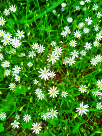 1655744893069.webp