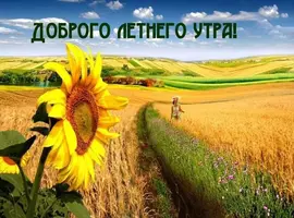 1C4E20F1-1213-4D0D-B54E-41D256642654.webp