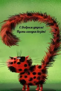 c44af3b34855e355c29f56b629ed701d.webp