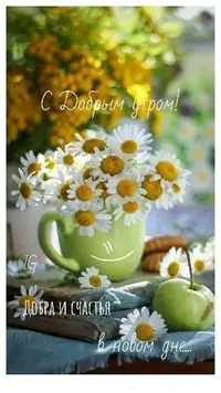 358c64df2445b2c95e630a284959a3d4.webp