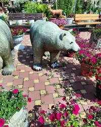 174449_Gallery.webp