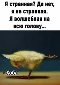 a065b9368ae3529daa8bb35e6533035f.webp