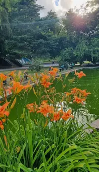 Screenshot_20220622-201237_Gallery.webp