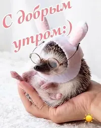 45d864d95ab5c775002677f174a1507e.webp