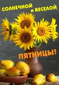 05A06E0A-FB7B-41BE-99C5-8A0FD8FD1F69.webp