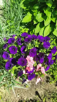 IMG_20220623_135117.webp