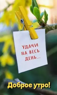 80ee13d39b96a8cd24dd5ceba1faacad.webp