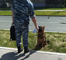 IMG_20220625_115332.webp