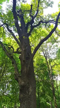 IMG_20220625_120841.webp