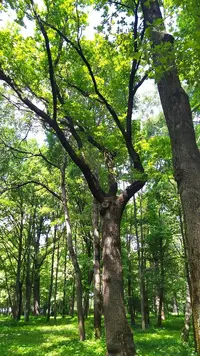 IMG_20220625_120900.webp