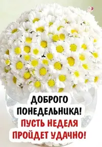 5C880778-E02D-45AA-A3E3-8741EBD3ED07.webp