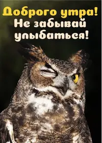 897F4CDA-6179-449D-BD66-0E2A8692E7A7.webp