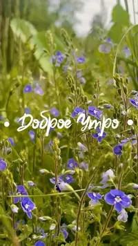 e4cdb7fd51c50555020f17f59477e33e.webp