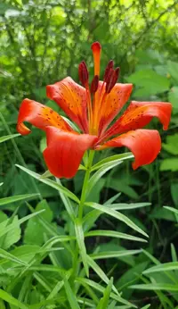 Screenshot_20220630-165724_Gallery.webp