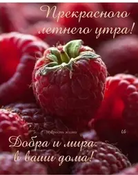 IMG-20220621-WA0002.webp